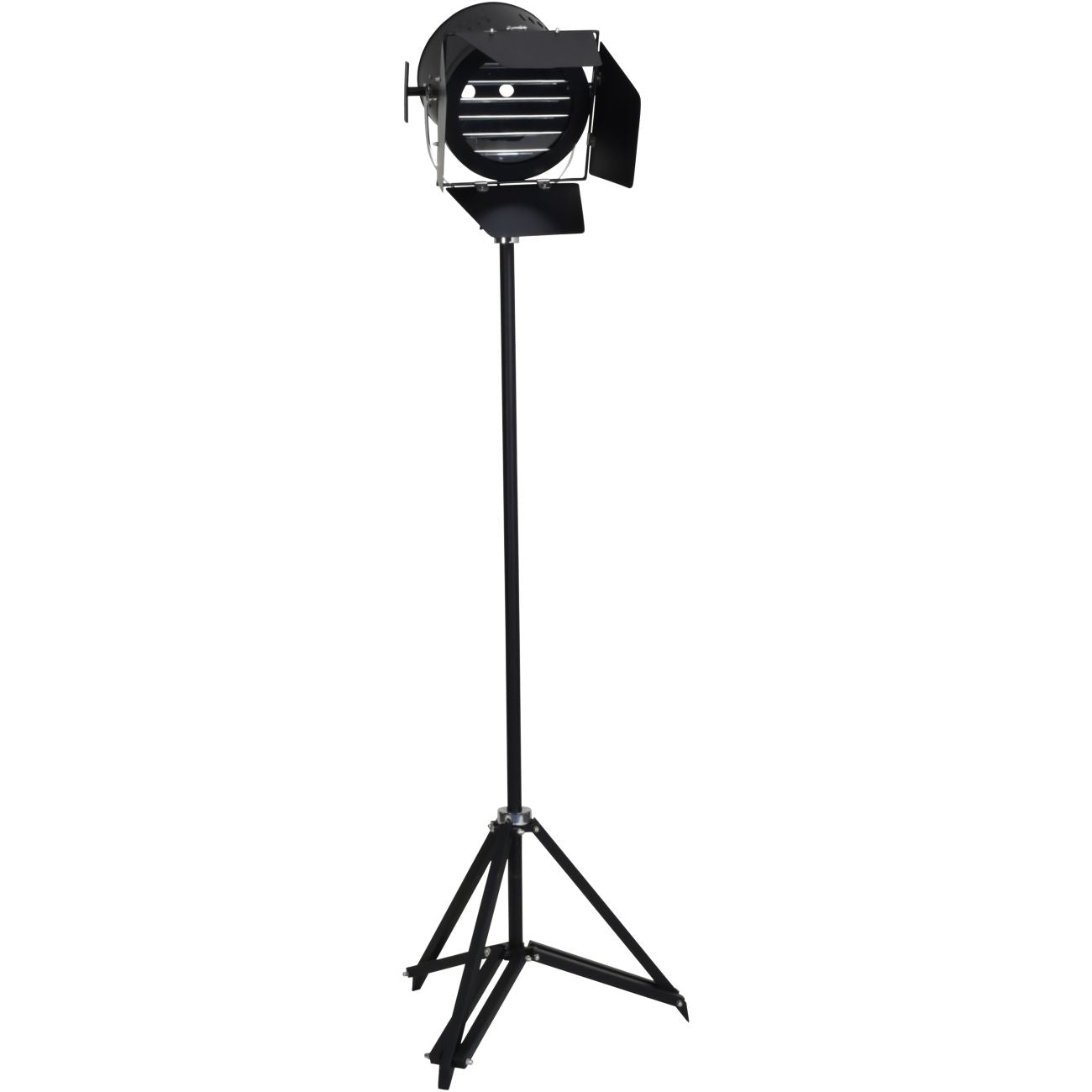 Clarky Black Hollywood Spotlight Floor Lamp